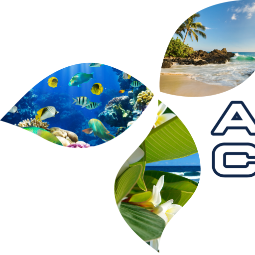 AZ Pool Concepts